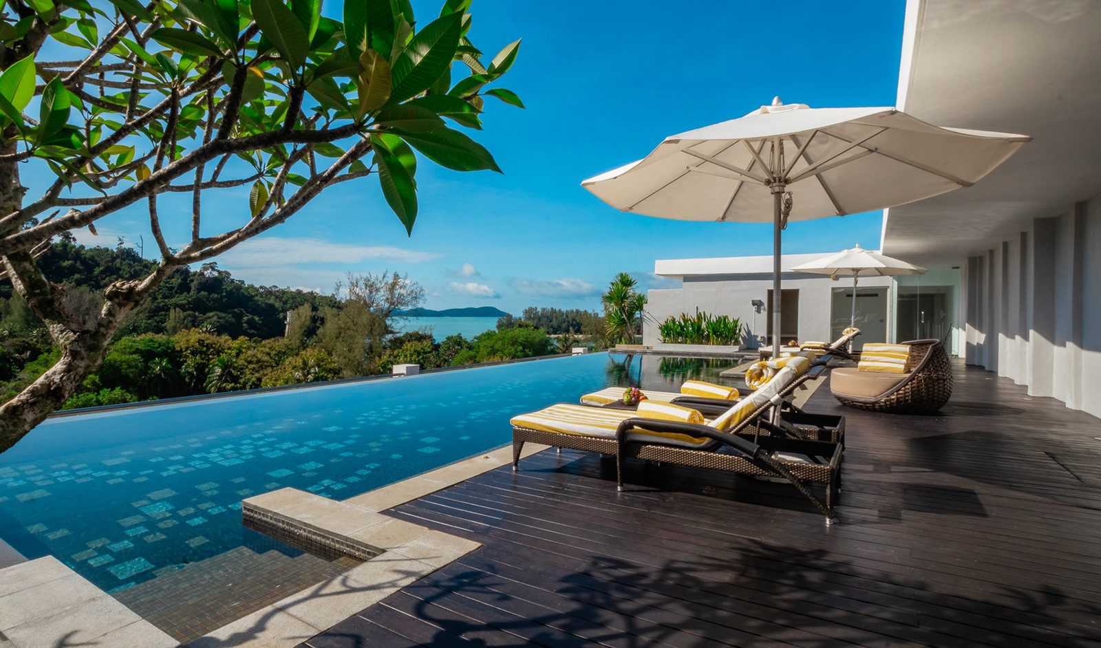 Infinity pool and timber sun deck looking out over tree canopy to the sea